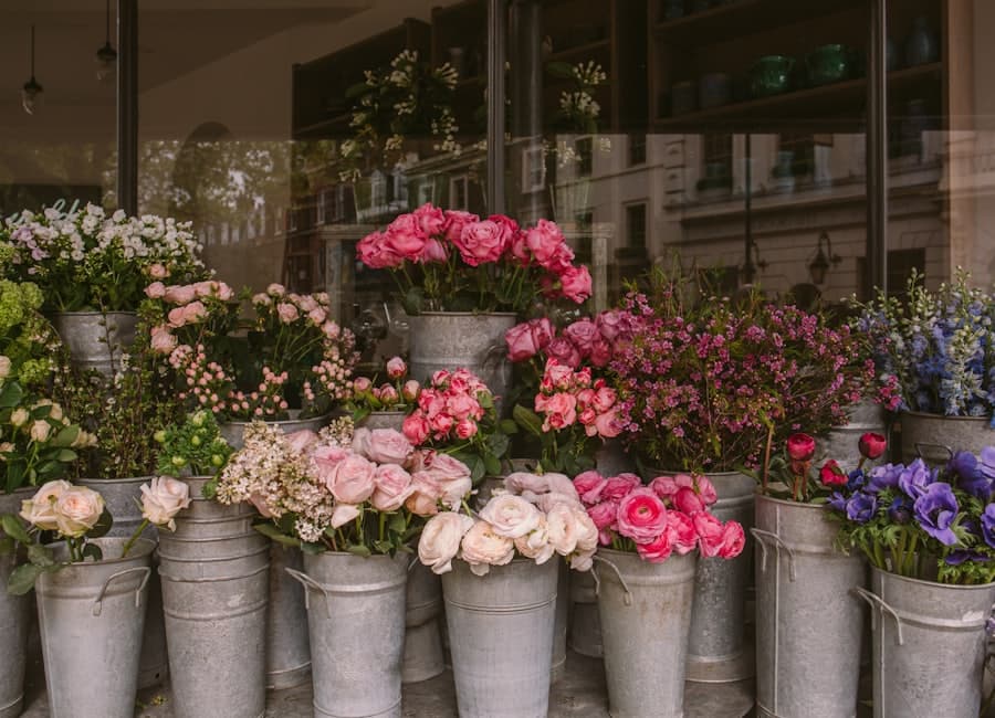 Commerces & Boutiques